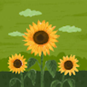 Meet your Posher, Lindsay